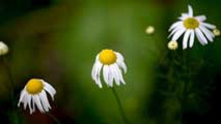 Informativo de Madrid - El Tiempo en la Comunidad de Madrid - 10/12/15