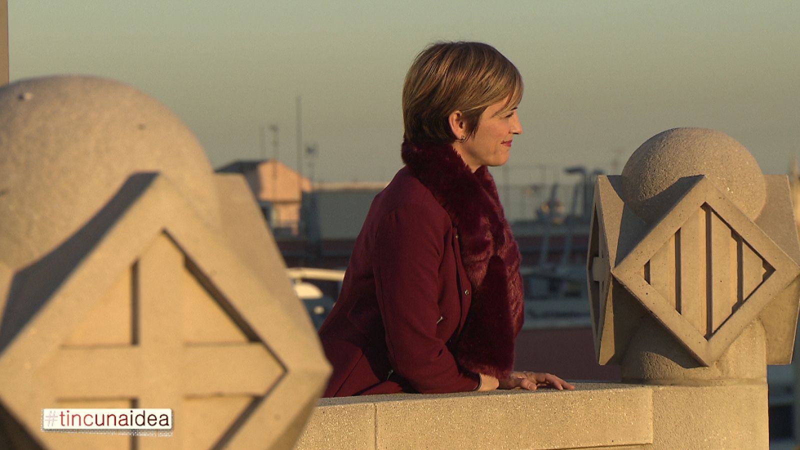 Tinc una idea - 13/12/2015 - avanç