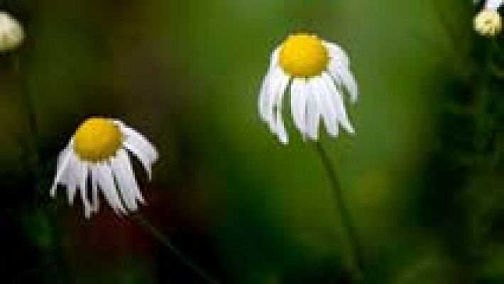 El tiempo - Las temperaturas máximas superarán los 20ºC en el sur peninsular