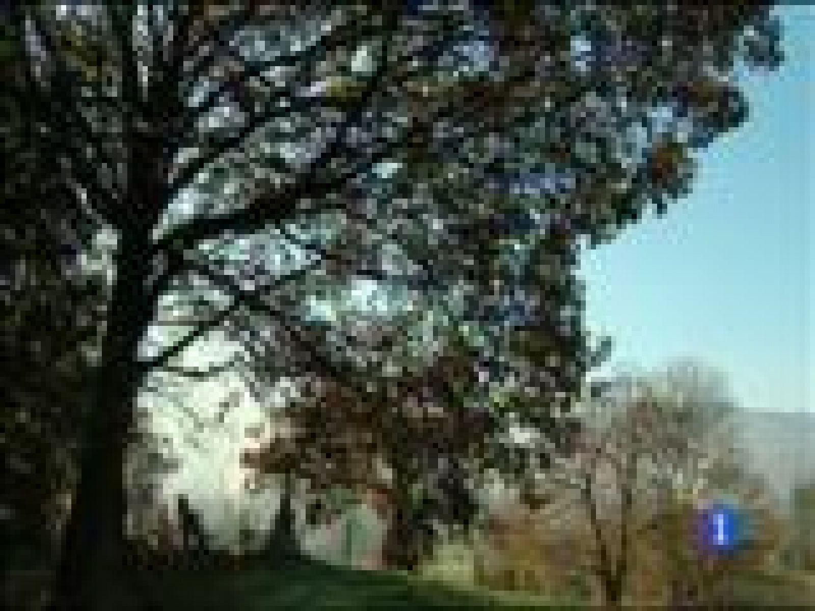 El tiempo en Asturias - 11/12/15 | Ver