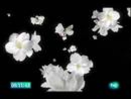  - El jardín de los sueños