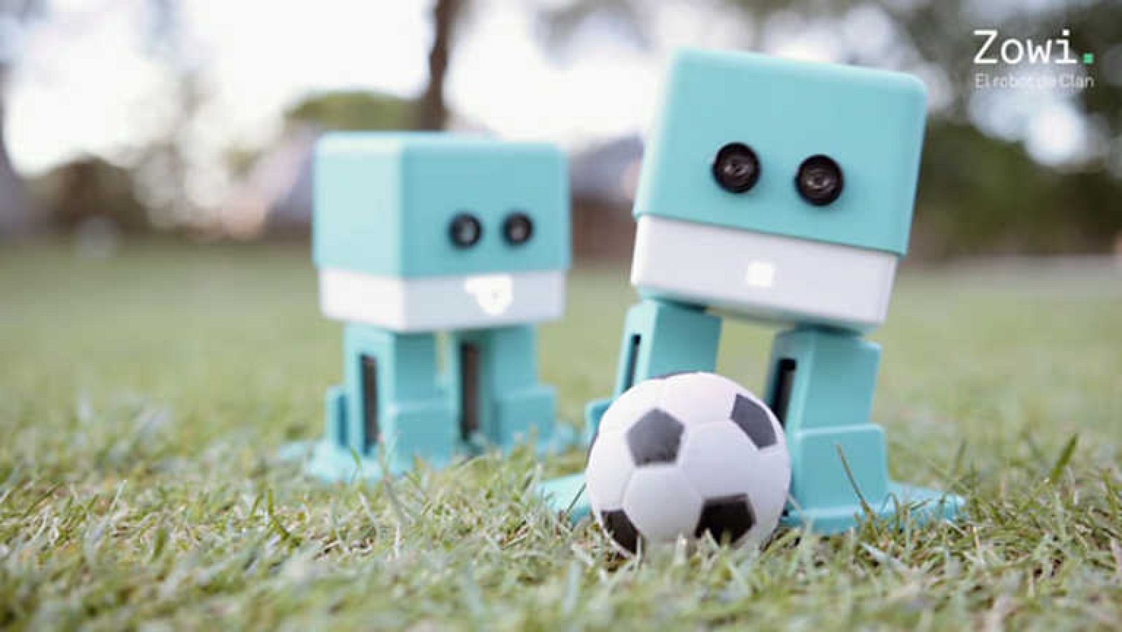 ¿Qué puedes hacer con Zowi? - Zowi, el robot de Clan | Ver