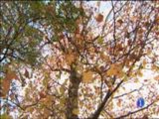 Panorama Regional - El tiempo en Asturas - 14/12/15