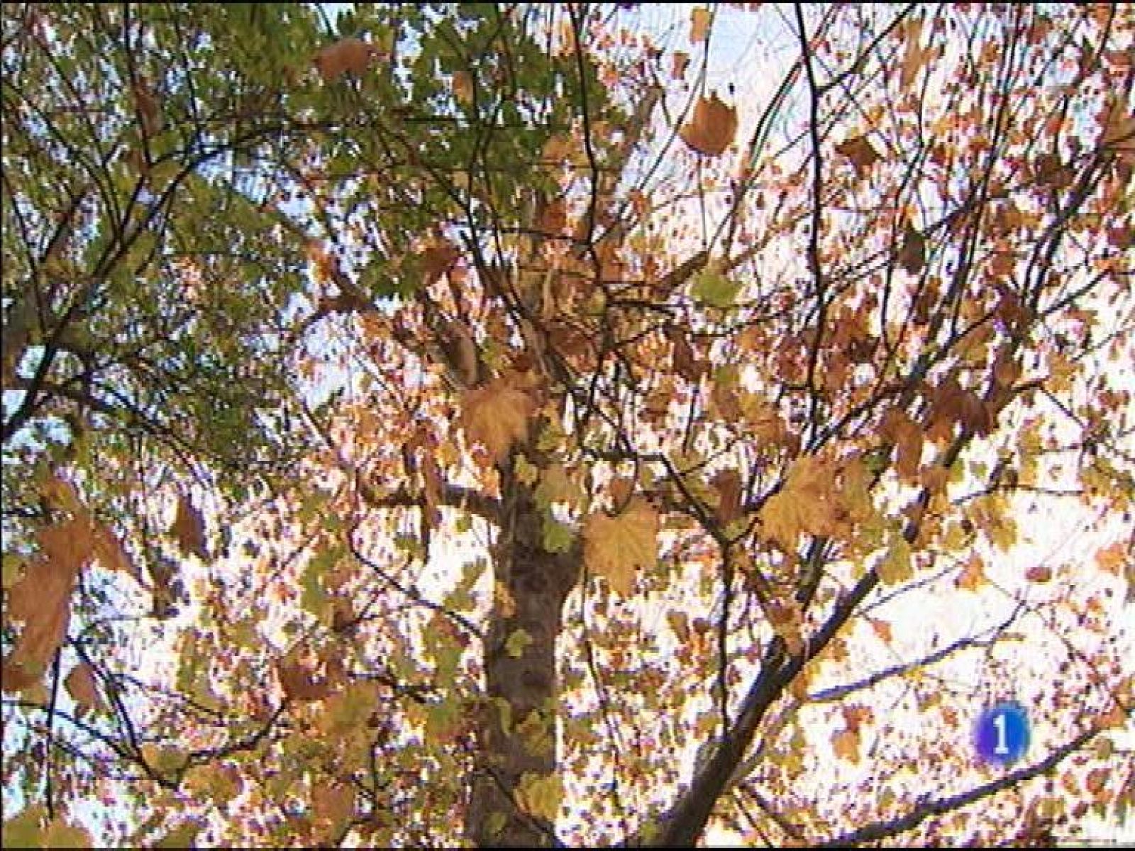 El tiempo en Asturas - 14/12/15 