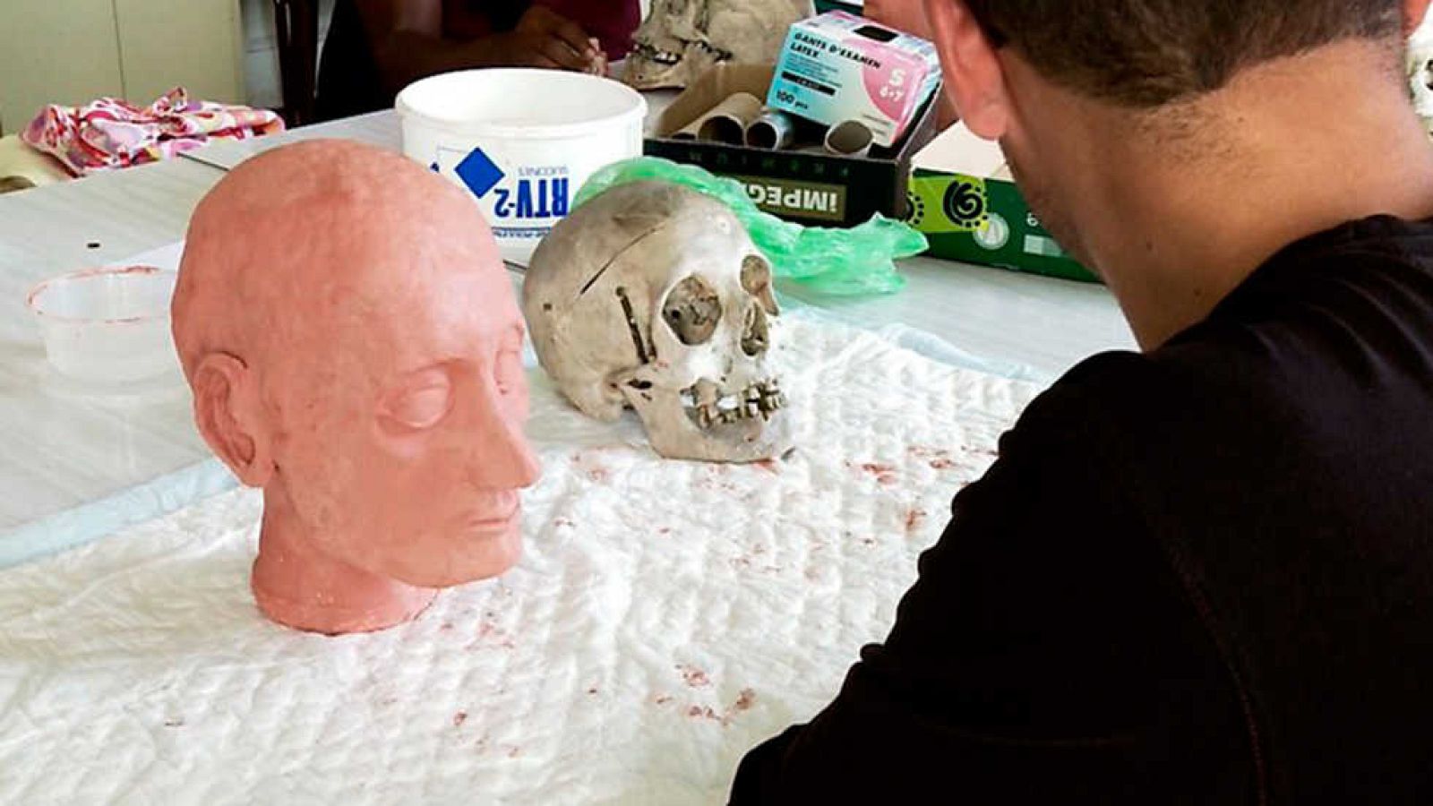 Documenta2 - Ventana al cuerpo  - Ver ahora