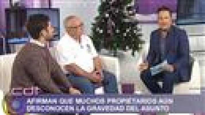 Cerca de ti - Cerca de ti - 15/12/2015