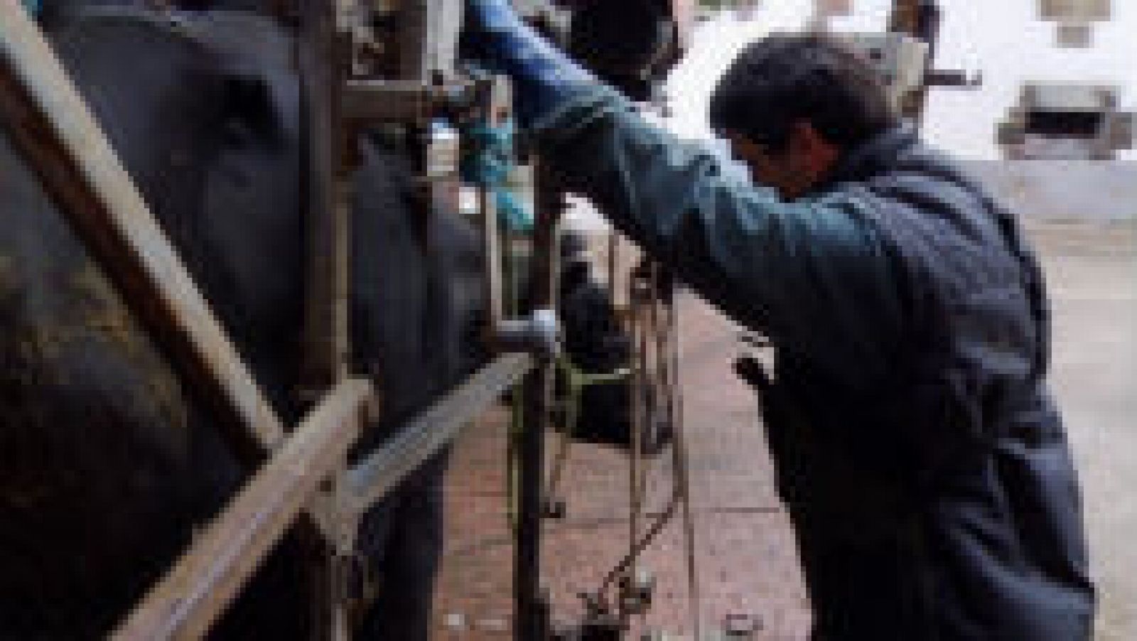 Así trabaja un veterinario rural