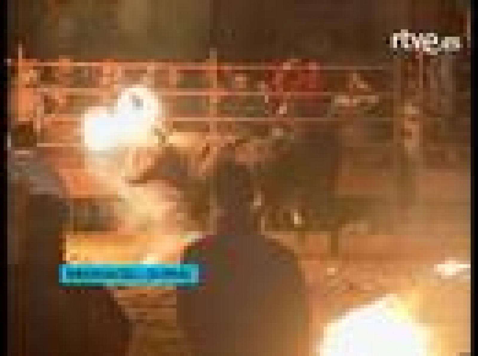 Votación popular en Paterna sobre los festejos taurinos | Ver