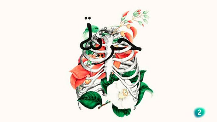 La aventura del Saber - Boek Visual: Nano Torres