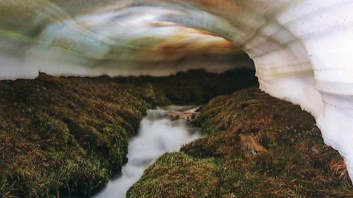 La aventura del Saber - La aventura del saber - 17/12/15