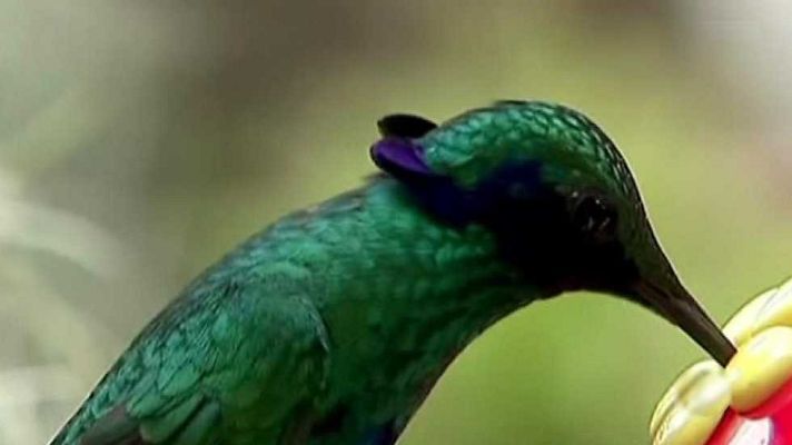 La 2 Noticias - La 2 Noticias - 17/12/15