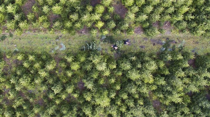 Informativo de Madrid - El Tiempo en la Comunidad de Madrid - 18/12/15