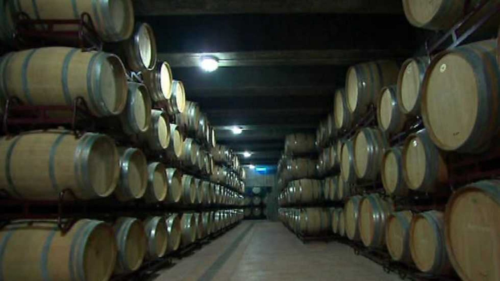 Zoom Tendencias - Mexico sabroso y desconocido - Ver ahora