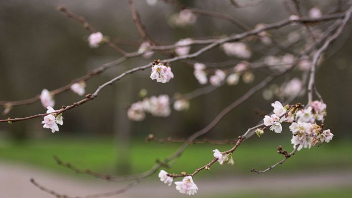 El tiempo - Muchas nubes en el oeste y temperaturas en descenso