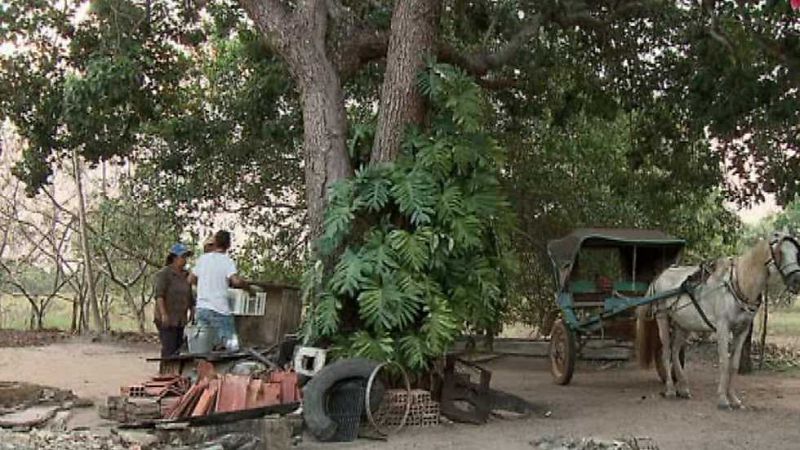 Pueblo de Dios - Araguaia, el fruto de la justicia - ver ahora