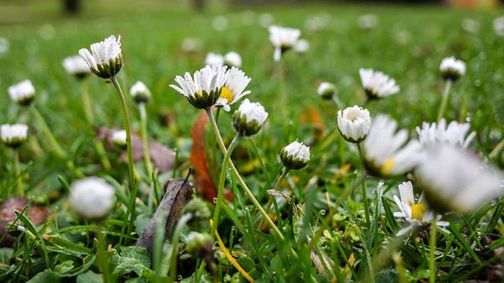 Informativo de Madrid - El Tiempo en la Comunidad de Madrid - 21/12/15