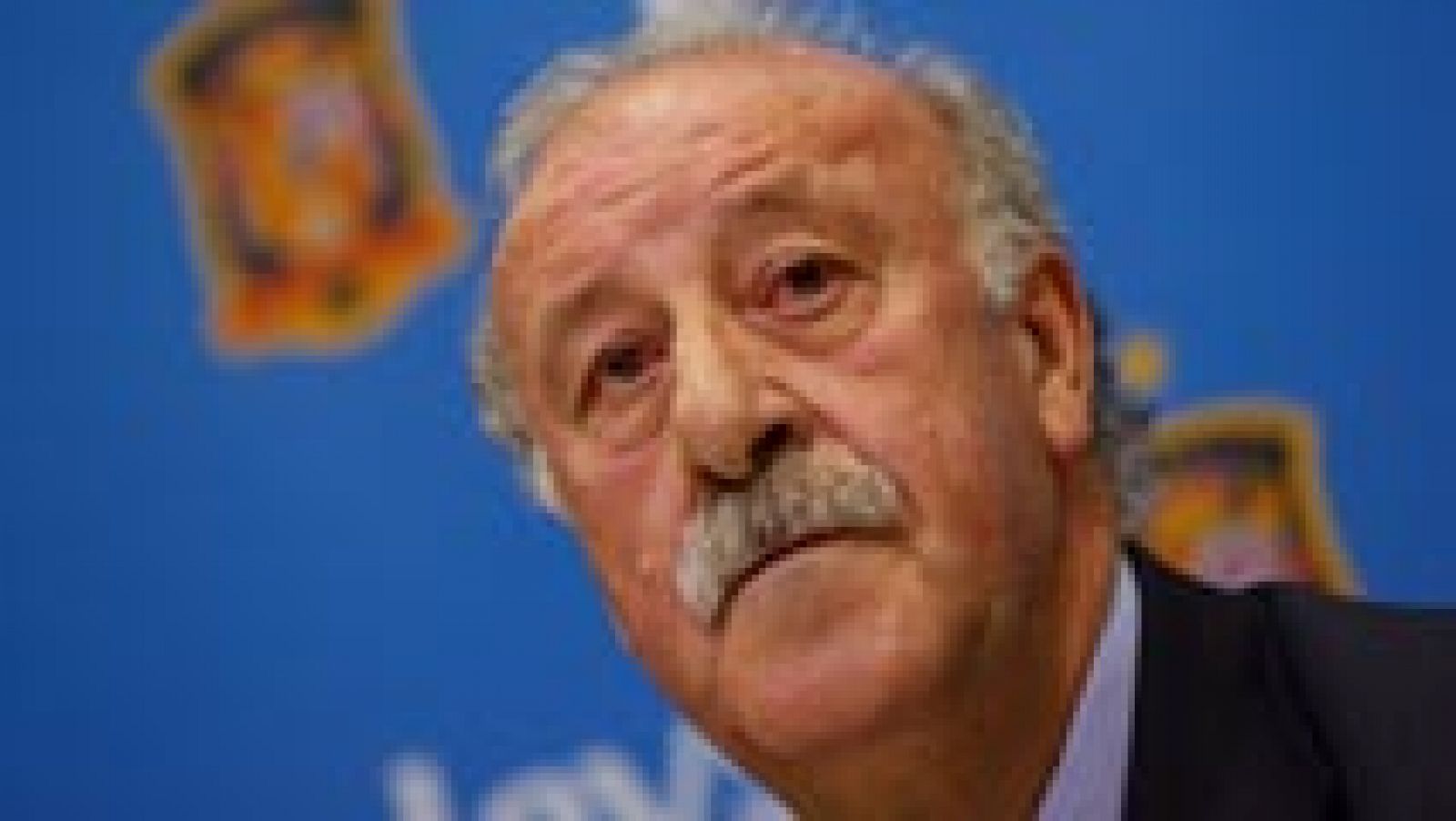 El seleccionador nacional, Vicente del Bosque, ha asegurado este lunes que debe ponerse "en manos de la Federación Española de Fútbol para tomar una decisión final" sobre su futuro y recordó que tiene por delante seis meses de trabajo con la selección ante la Eurocopa de Francia.