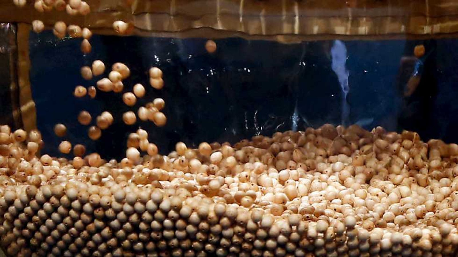 Sorteo de la Lotería de Navidad 2015 - Primera hora - Ver ahora