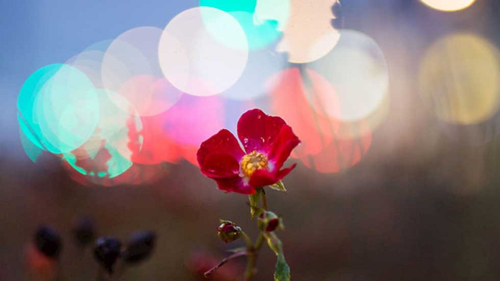 El Tiempo en la Comunidad de Madrid - 22/12/15