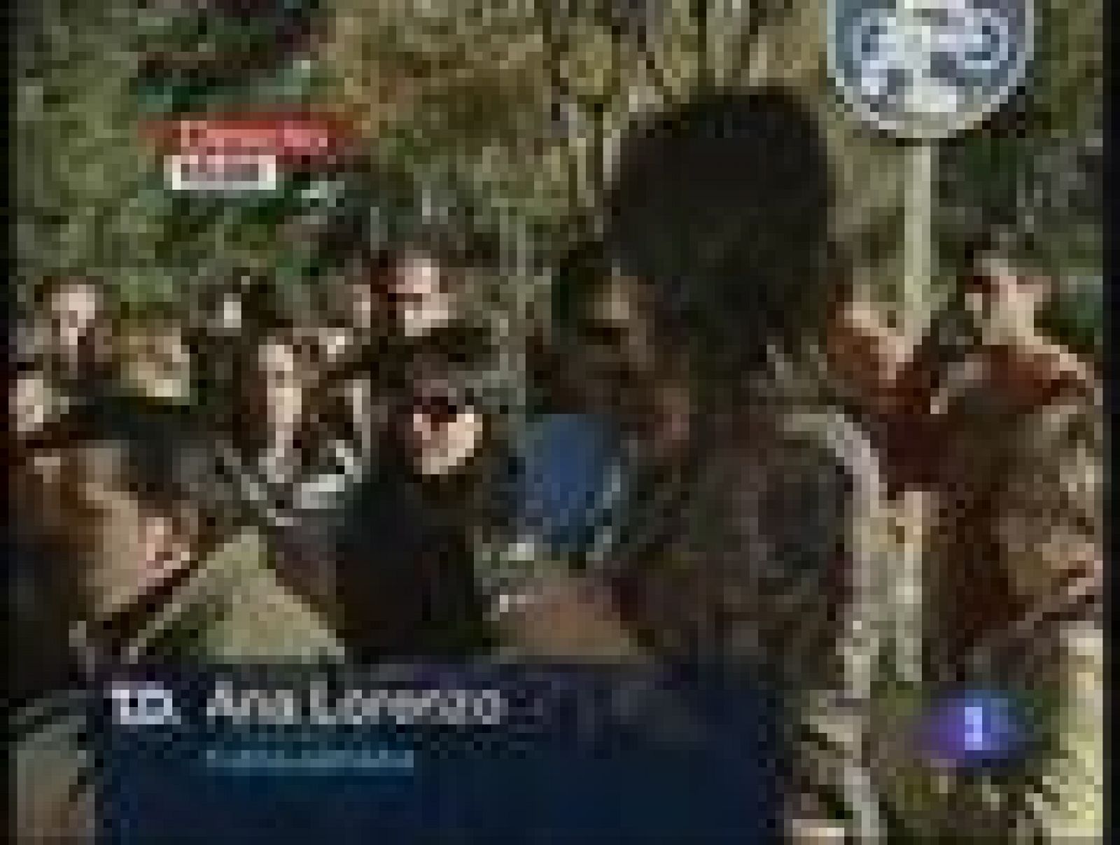 Adjudicados los pisos del 'Pocero bueno'