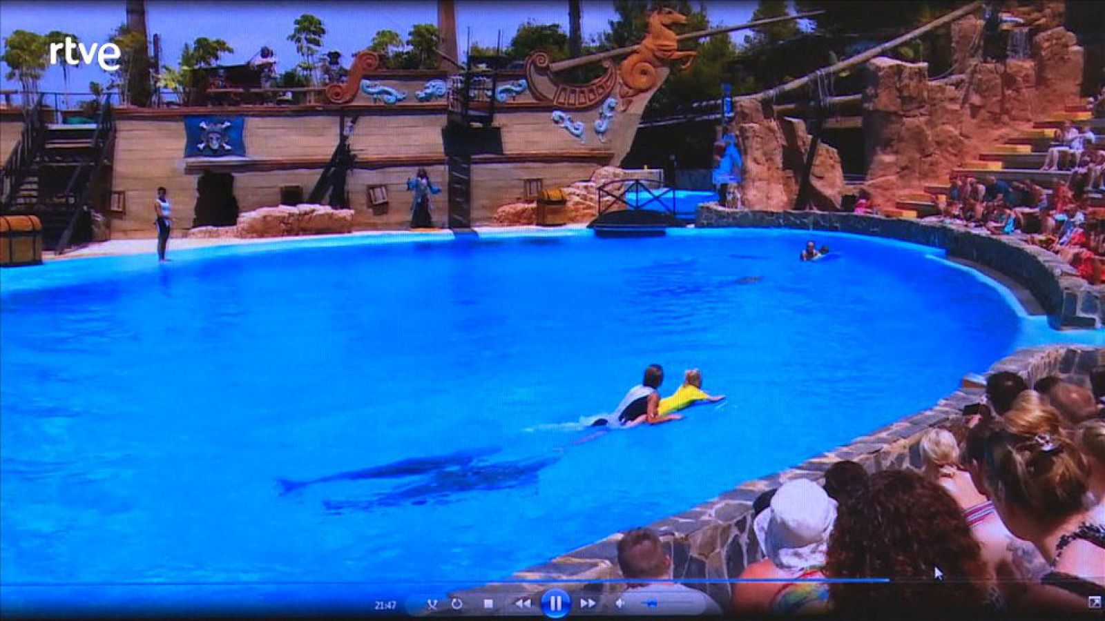 Zoos bajo lupa - SOS Delfines