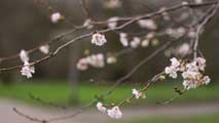 Informativo de Madrid - El Tiempo en la Comunidad de Madrid - 23/12/15