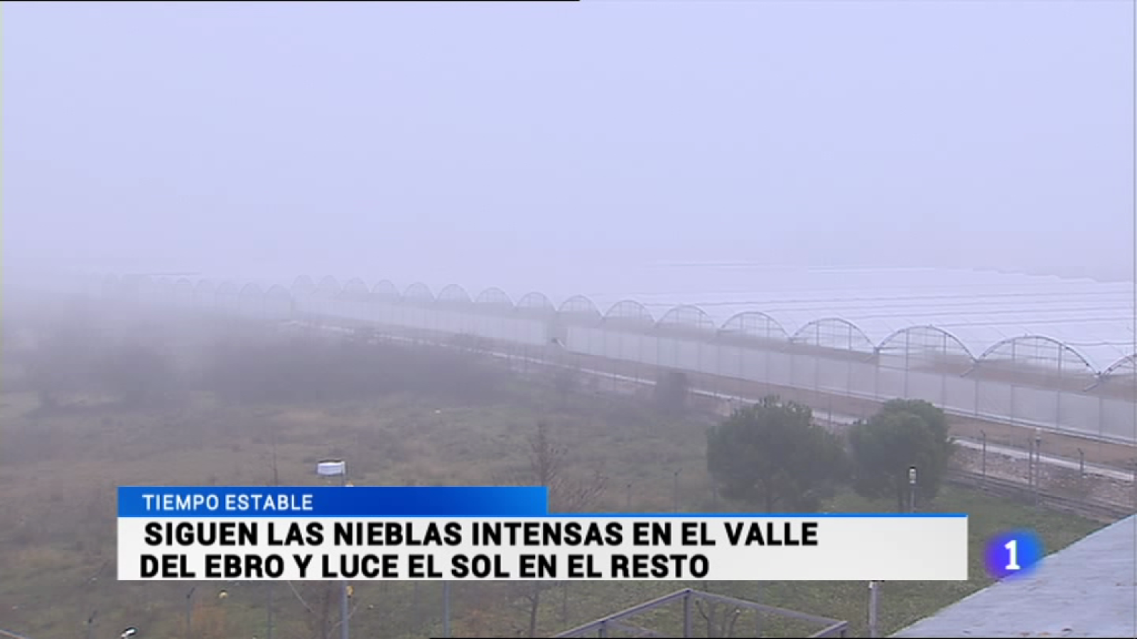 Informativo Telerioja - 23/12/15 | Ver