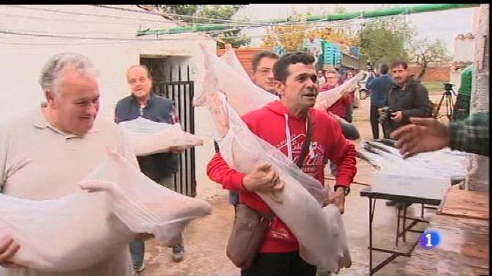 Informatiu Balear - Fruites, verdures i també peix a Can Gazà per Nadal