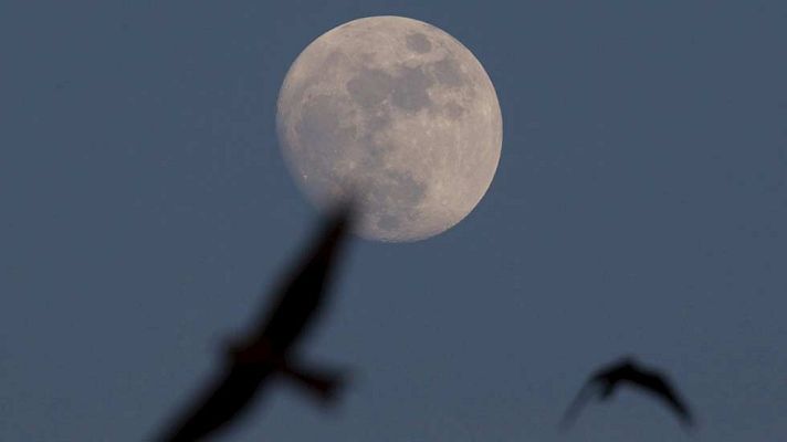 El tiempo - Viento fuerte en Galicia, Canarias y montañas del norte