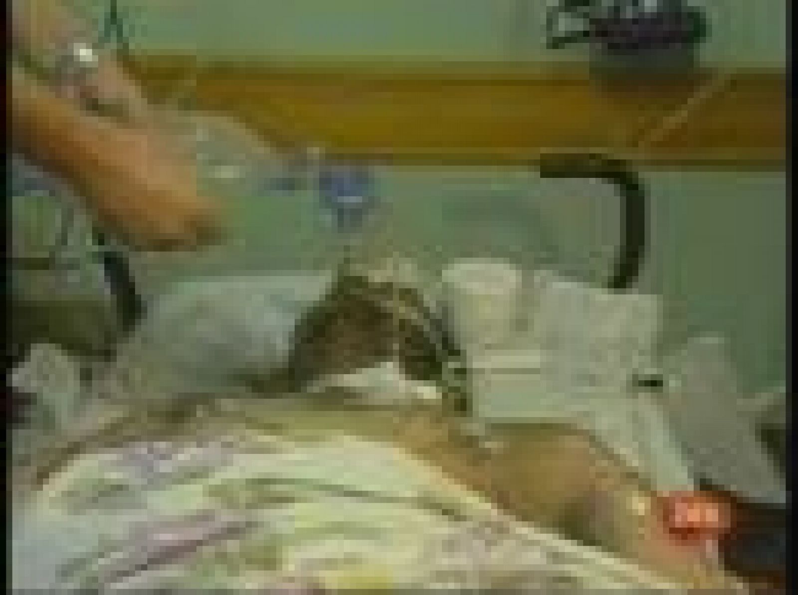 Dos  palestinos han muerto en Gaza en un bombardeo israelí