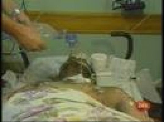  - Dos palestinos muertos en Gaza