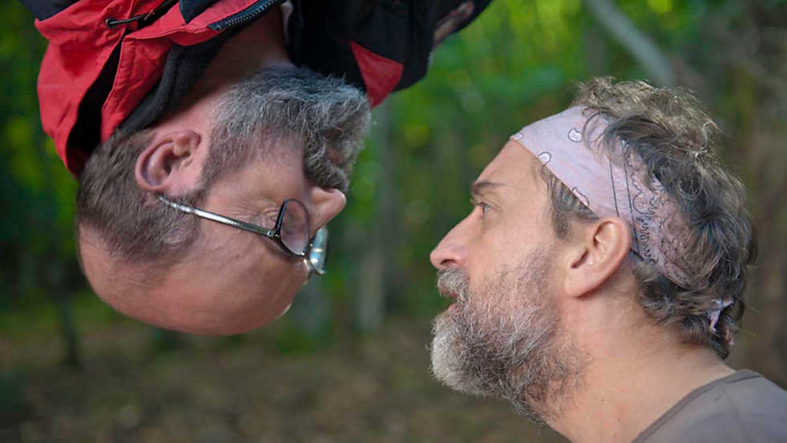 Versión española - ¿Para qué sirve un oso? - ver ahora