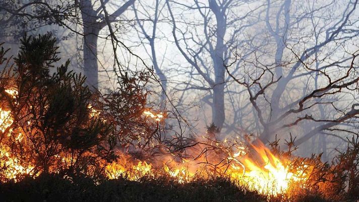 Telediario 1 - Cerca de 2.000 hectáreas han ardido ya en Cantabria, con 82 incendios aún activos
