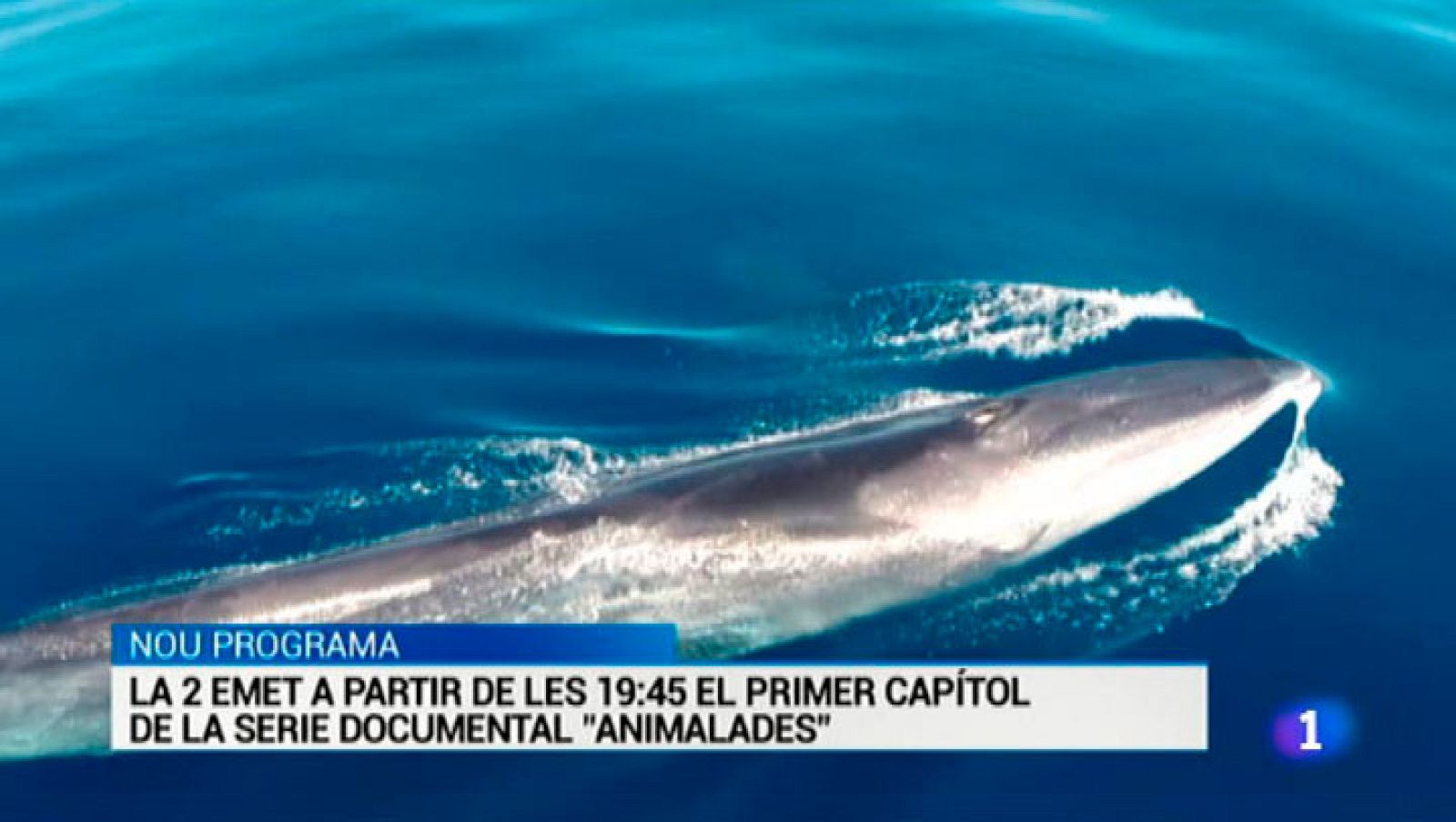 L'Informatiu 2 - 28/12/2015