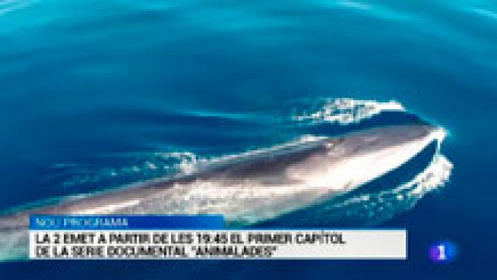 L'Informatiu - L'Informatiu 2 - 28/12/2015