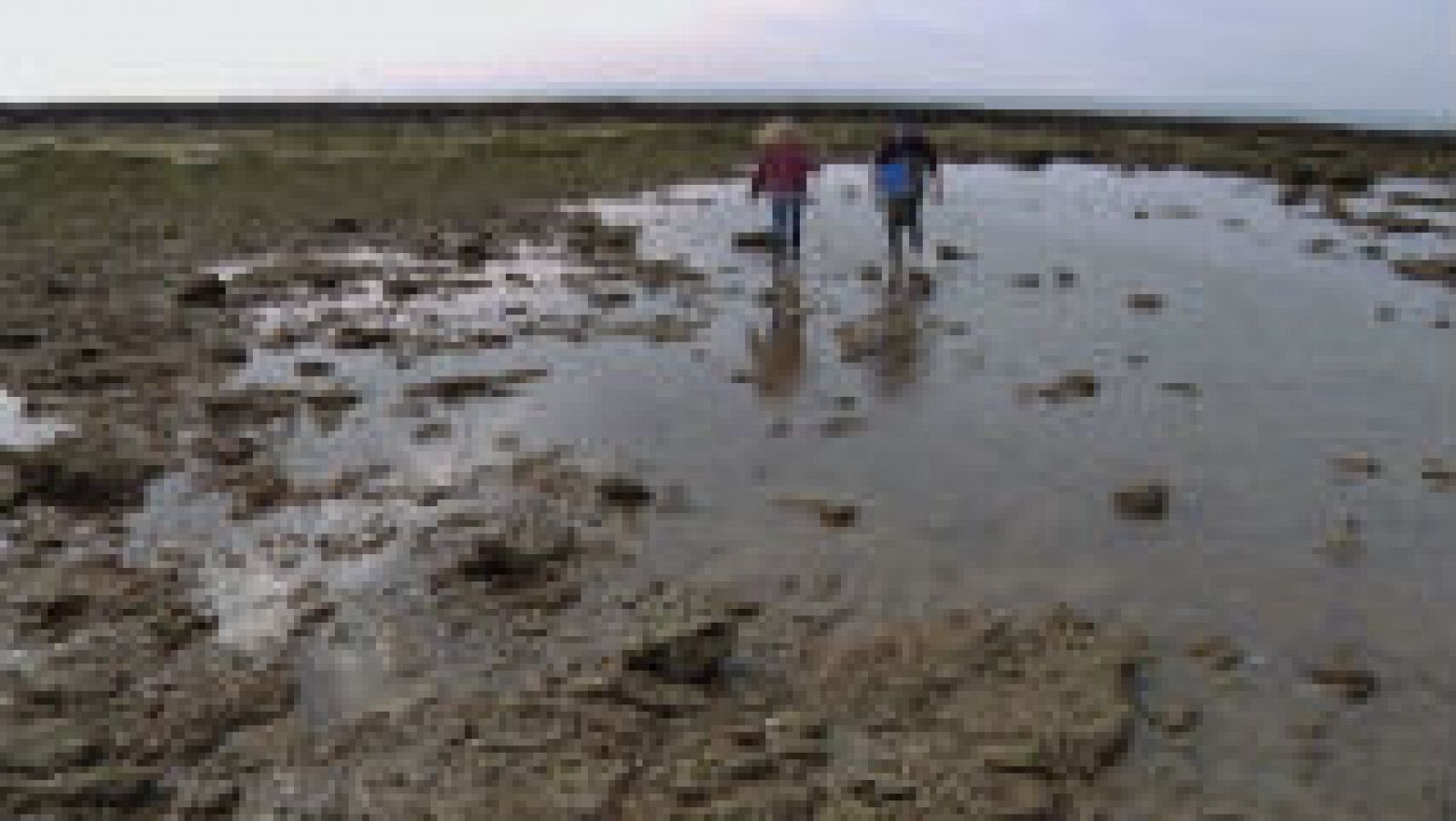 La curiosa pesca en Rota