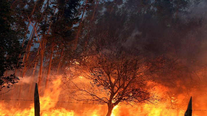 Telediario 1 - Decenas de incendios siguen activos en Cantabria