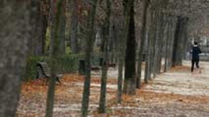 Informativo de Madrid - El Tiempo en la Comunidad de Madrid - 29/12/15