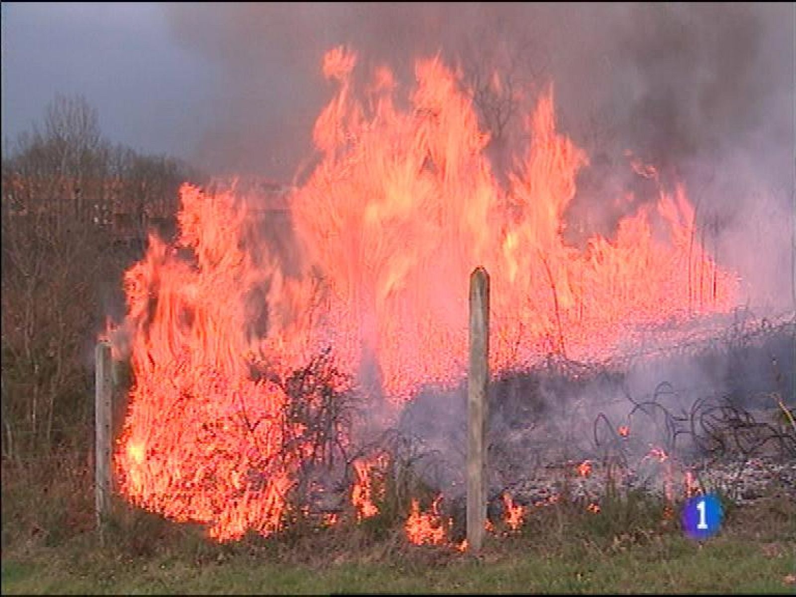   En Asturias, los incendios forestales pueden darse ya prácticamente por extinguidos. A esta hora hay 8 focos y todos controlados, según el 112. La lluvia caída en la tarde de ayer fue un gran aliado de los servicios de extinción. Por la tarde, uno de los fuegos que más preocupaba era el que amenazaba la urbanización de La Fresneda, en Siero, a pocos kilómetros de Oviedo. Afortunadamente los equipos de bomberos y del UME pudieron controlarlo a tiempo y se evitaron desgracias personales. Los trabajadores del centro que la empresa CAPSA tiene en Granda temen por su futuro y por el del campo asturiano, porque ambos están estrechamente relacionados. Dicen que están abocados a la conflictividad laboral por la falta de inversiones de la empresa y el acuerdo con Lactogal, el grupo gallego Celta. Expusieron su situación esta mañana en rueda de prensa en la sede de Comisiones Obreras.
