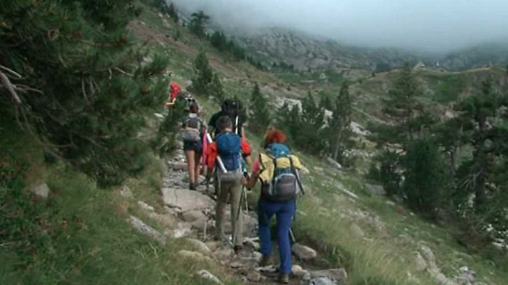 Comando Actualidad - Comando año ocho
