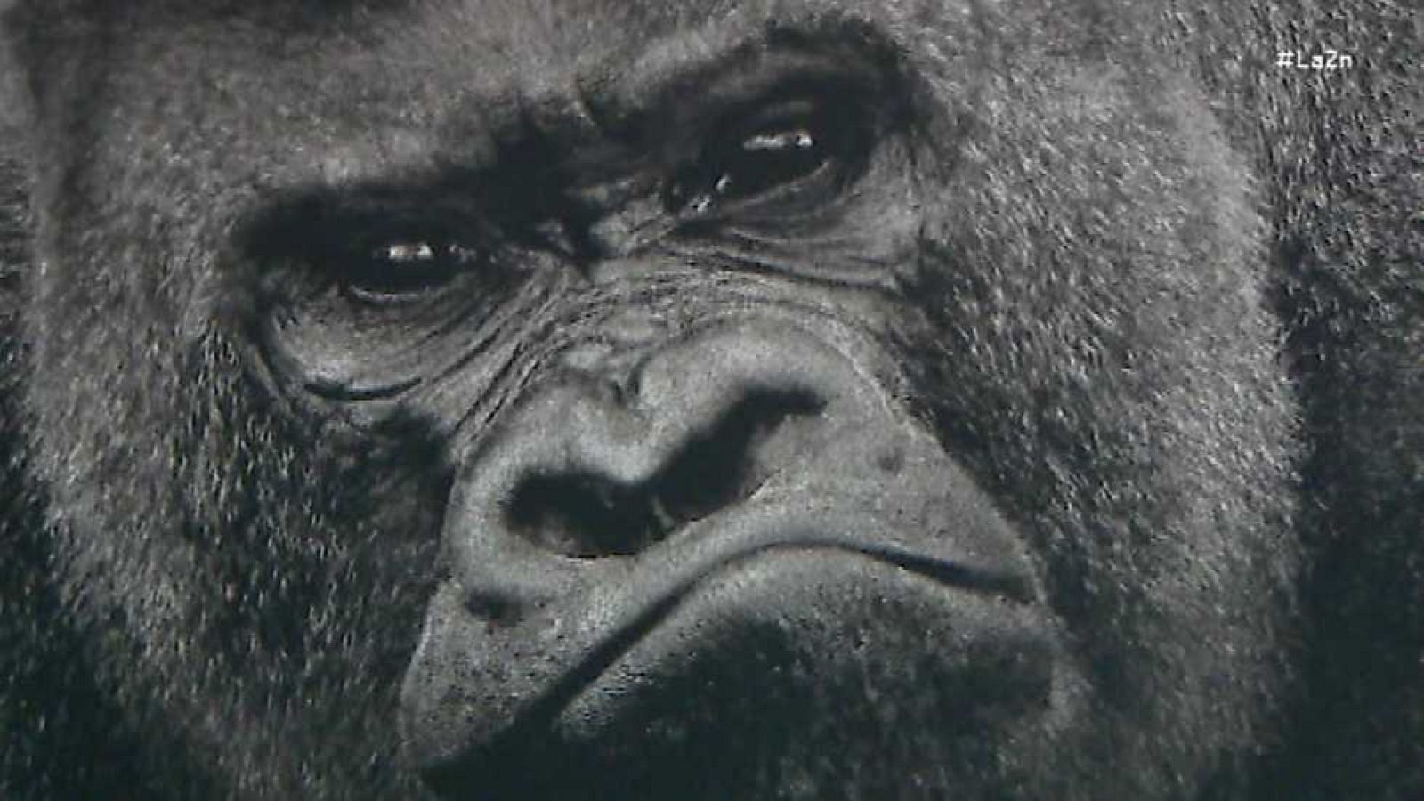 La 2 Noticias - 29/12/15 - Ver ahora