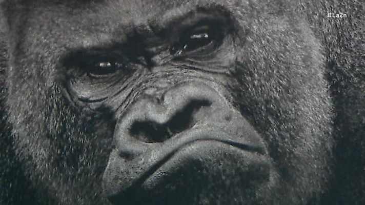 La 2 Noticias - La 2 Noticias - 29/12/15