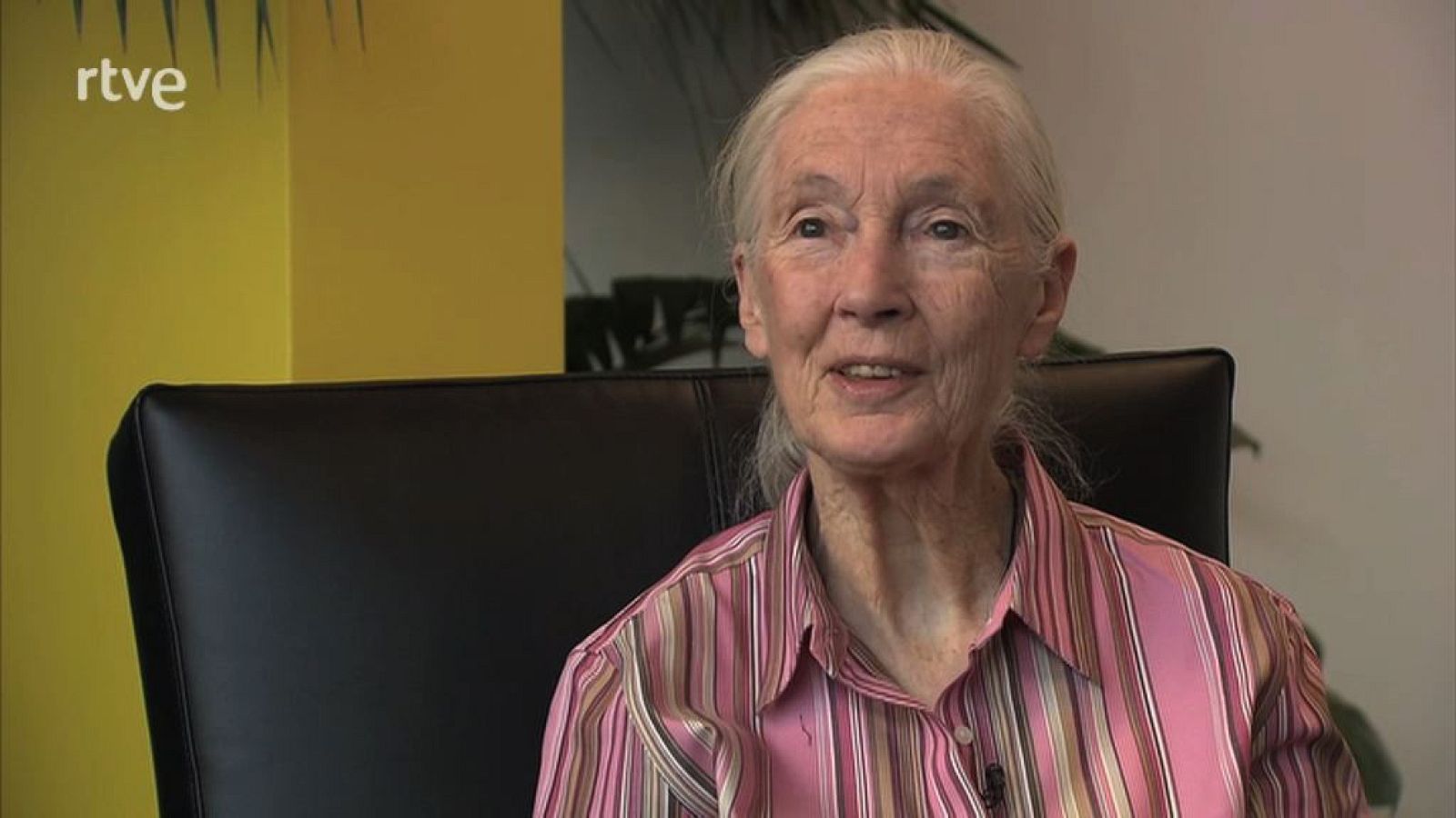 animalades - Jane Goodall recomana animalades