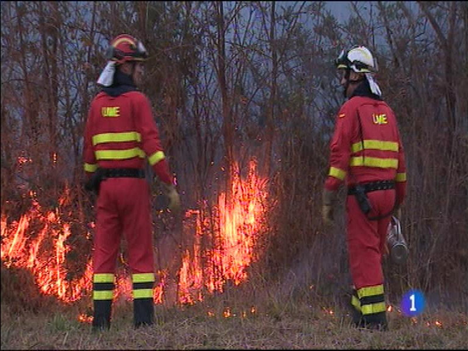  El Principado está evaluando los daños  que ha ocasionado el fuego en Asturias aunque ya se sabe que las llamas quemaron en diez días más hectáreas que en todo el año.La consejera de Hacienda informaba  hoy del decreto aprobado, por el  que se prorrogan los presupuestos a partir del día 1 de enero. La cantidad  asciende a 3.954 millones de euros. 