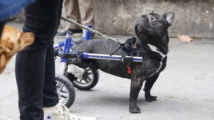 Informativo de Madrid - Informativo de Madrid 2 - 30/12/15