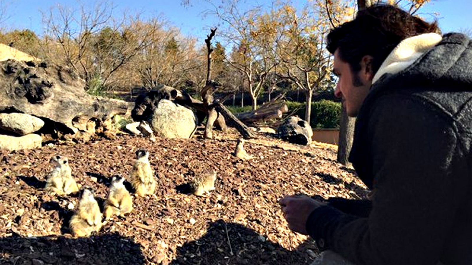 Carlos Sainz Jr ha vivido su primera temporada en el Gran Circo de la Fórmula Uno con más luces que sombras. Todo un sueño cumplido.
