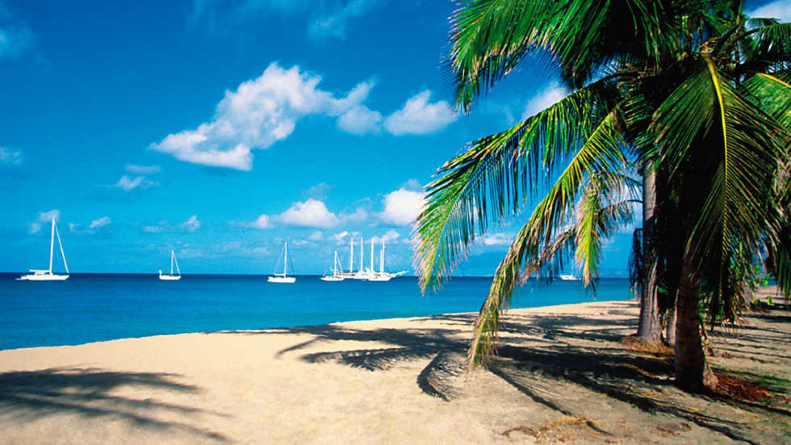 Grandes documentales - Sabores de las pequeñas perlas del Caribe - ver ahora