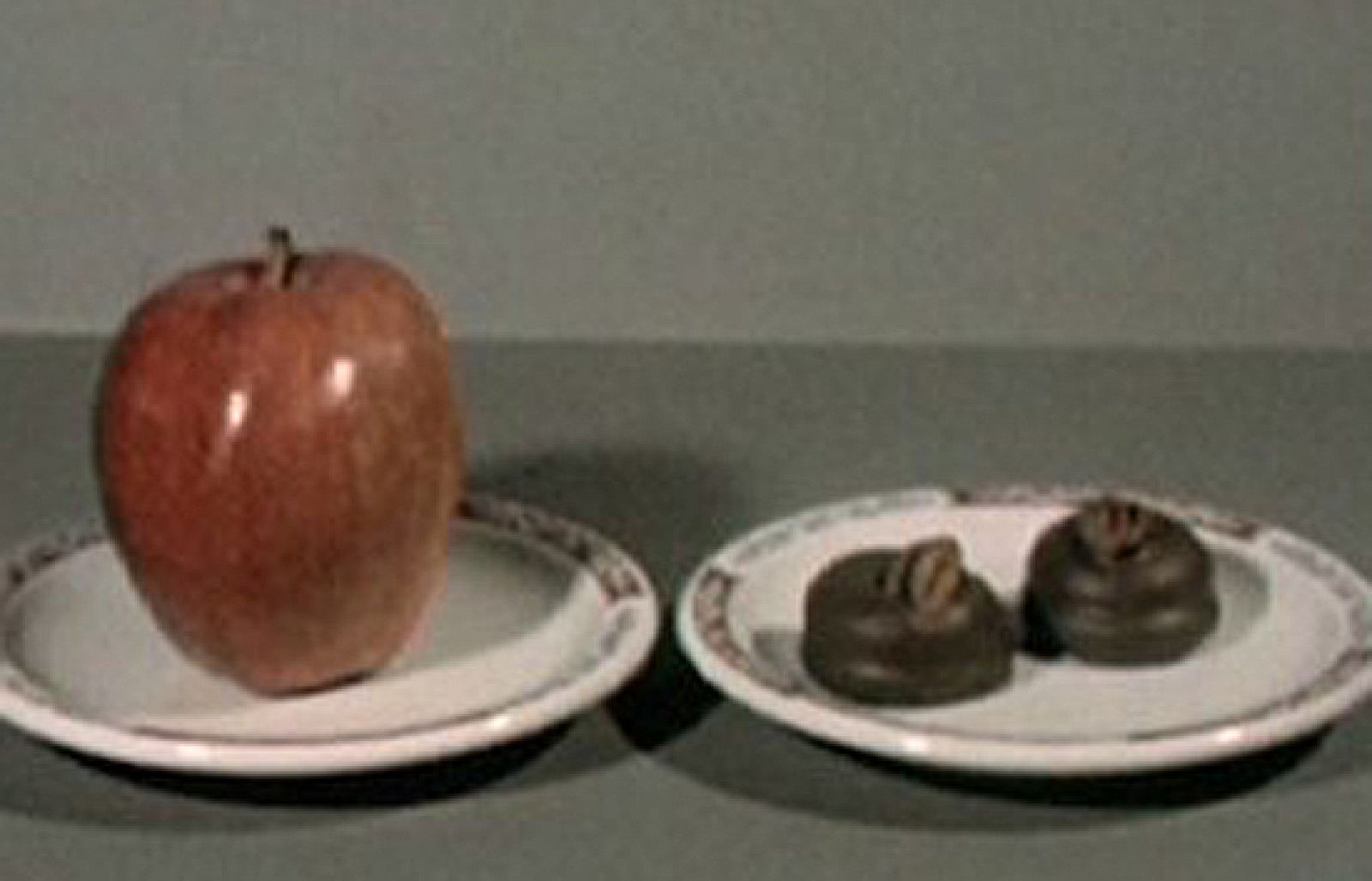 tres14 - Los principios de una dieta sana - tres14 | Ver