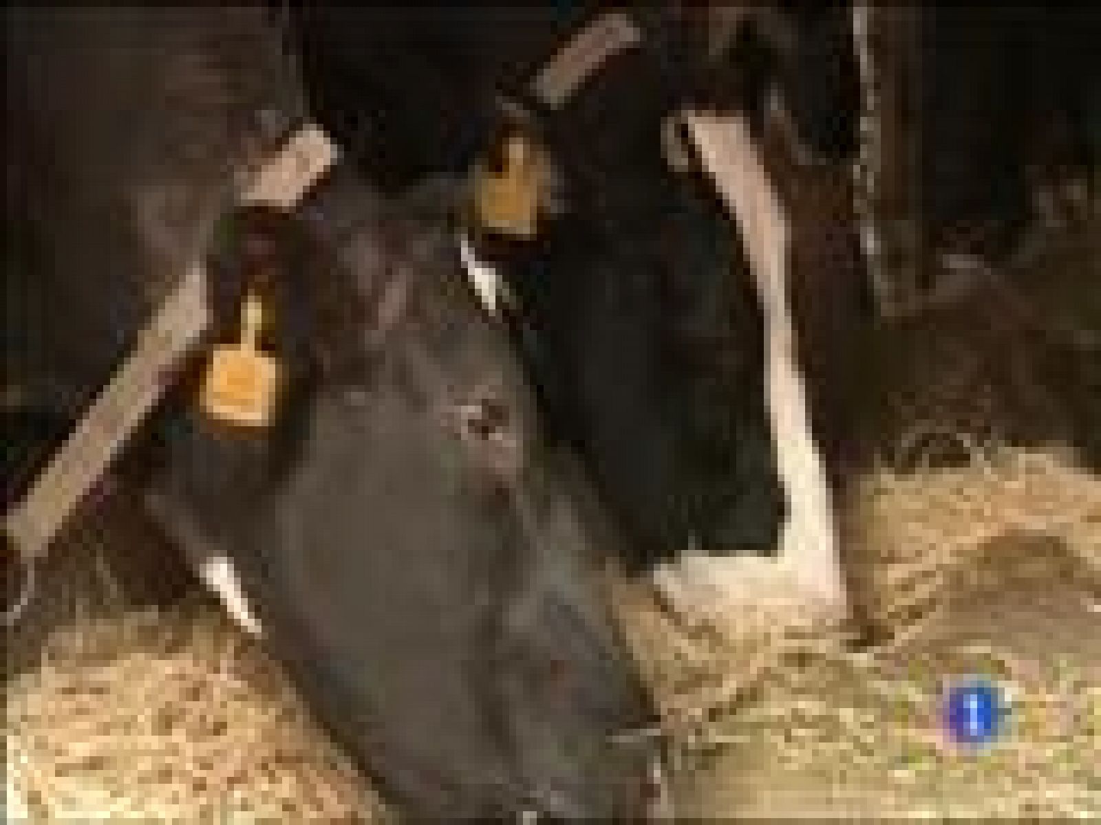 Panorama Regional - 04/01/16 | Ver