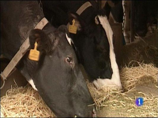 Panorama Regional - Panorama Regional - 04/01/16